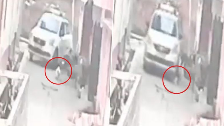 Horrific Accident Caught on Camera in Lucknow: Kid Playing Outside Her House, Run Over by Car; Disturbing Video Surfaces