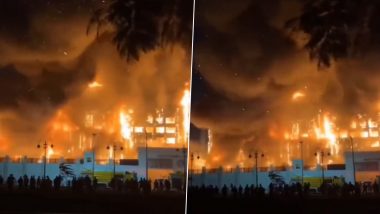 Egypt Police Station Fire Video: 38 People Injured After Massive Blaze Erupts at Police Headquarters in Northeastern Egypt