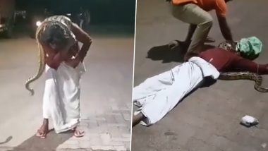 Kerala Shocker: Python Strangulates Drunk Man After He Brings Snake to Petrol Pump for Clicking Pictures, Terrifying Video Goes Viral