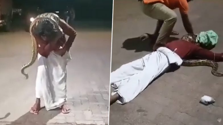 Kerala: Python Strangulates Drunk Man After He Brings Snake to Petrol Pump to Take Selfie, Viral Video Surfaces