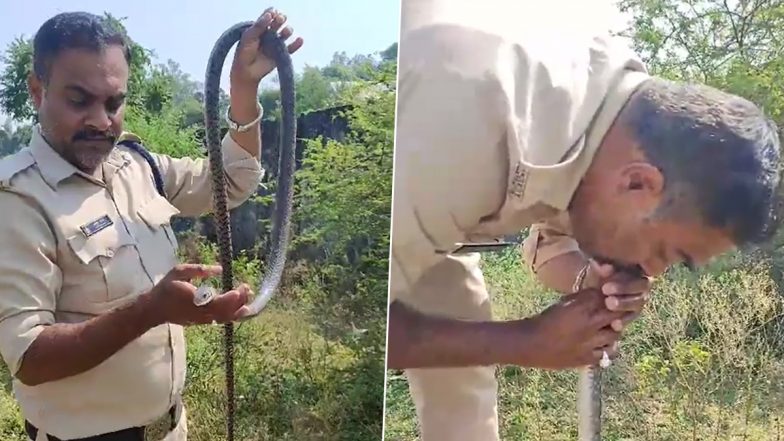 CPR to Snake Video: Snake Falls Unconscious After Being Drenched in Pesticide-Laced Water, MP Cop Tries to Save Its Life by Giving CPR