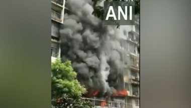 Mumbai Fire Update: Two Dead, Three Injured After Massive Blaze Erupts in Nine-Storey Pavan Dham Veena Santur Building in Kandivali (Watch Video)