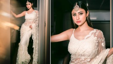 Mouni Roy Looks Vision in White, Actress Shares Gorgeous Pics in White Net Saree Paired With Sleeveless Blouse