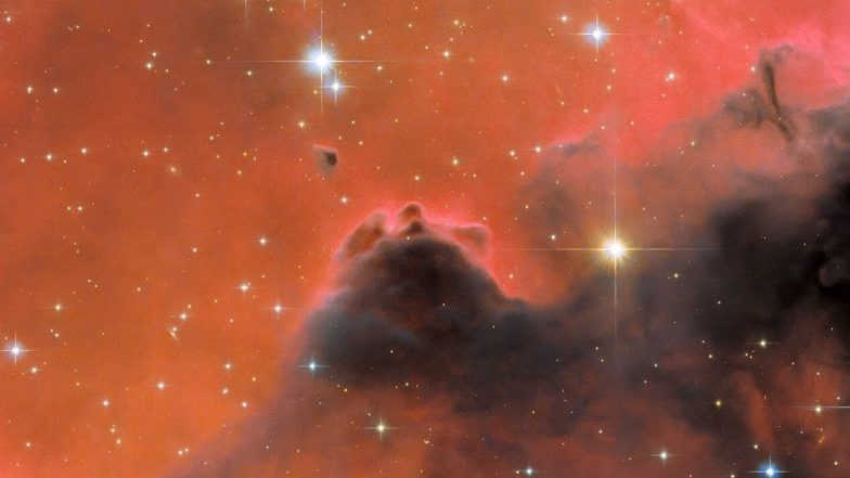 Nebula Westerhout 5 Photos: NASA's Hubble Telescope Shares Beautiful Visual of Luminous Red Nebula Located 7,000 Light Years Away From Earth