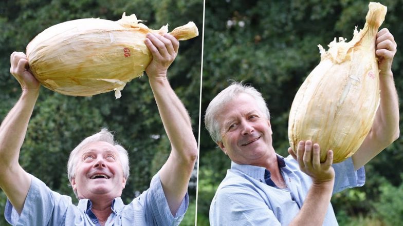 World's Heaviest Onion: Gareth Griffin From Guernsey Makes Guinness World Record for Producing Heaviest Onion Weighing Nearly 9 Kg (See Pics)