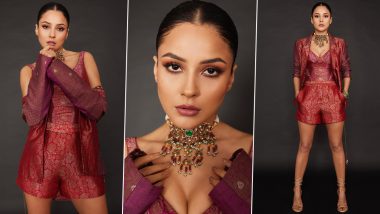 Shehnaaz Gill Effortlessly Slips into a Stylish Indo-Western Fusion Look with a Striking Neck Piece (View Pics)