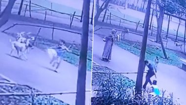 Kid Attacked by Dogs in Thane: Little Girl Falls After Being Chased by Stray Dogs at Lodha Amara Complex in Kolshet, CCTV Video Surfaces