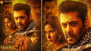 Salman Khan Expresses Concern Over Fireworks Burst Inside Theaters Screening Tiger 3, Urges Fans to Stay Safe