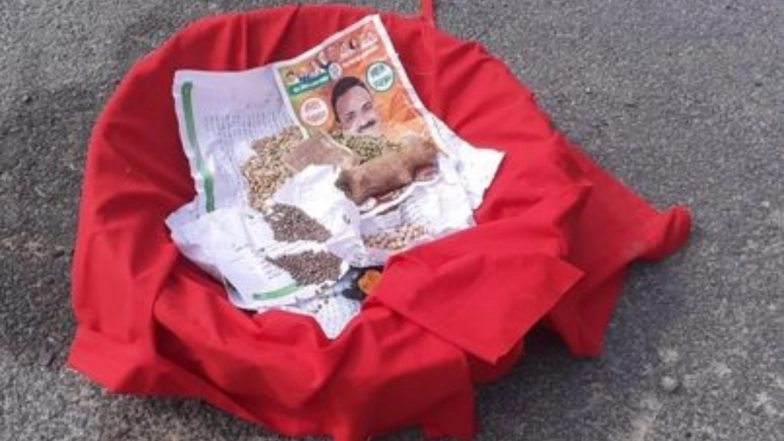 UP BJP MLA Lokendra Pratap Singh Claims He is Being Targeted With 'Black Magic and Conjuring', Shares Pic on Facebook