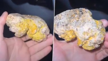 Scotland Fisherman's Dog Finds Whale Vomit On the Beach, Video of the Treasure Possibly Worth Millions Surface Online (Watch)