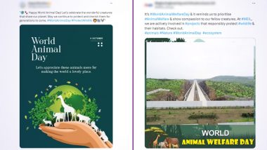 World Animal Day 2023 Wishes: Netizens Share Greetings and Images On the Day That Highlights the Conservation and Protection of Animals