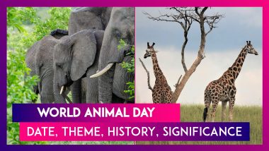 World Animal Day: Know Date, Theme, History & Significance Of The Day That Aims To Protect & Conserve Animals