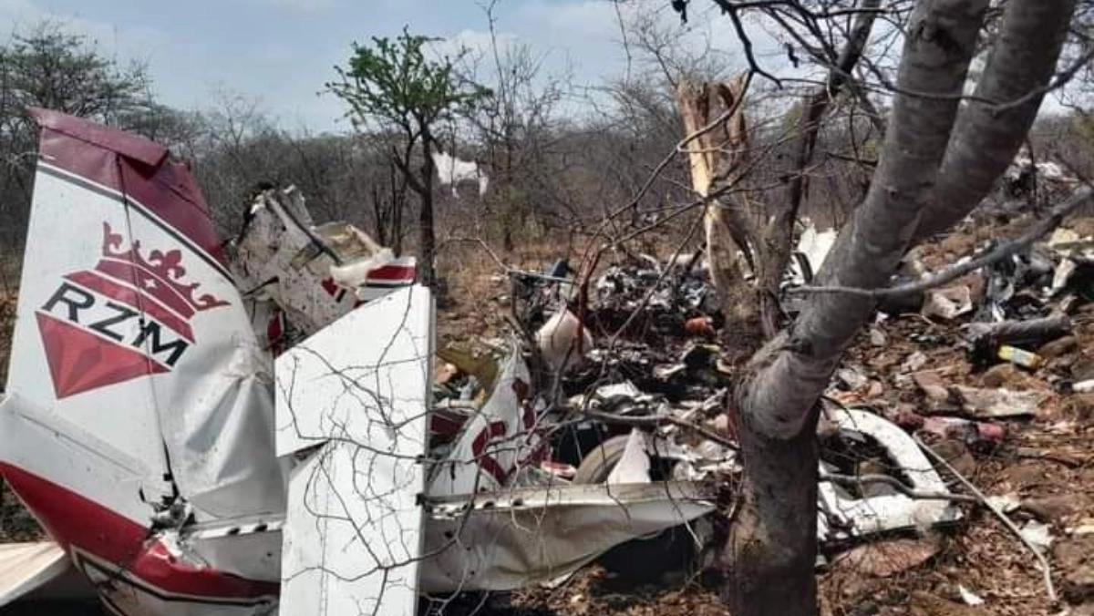 World News Indian Tycoon, Son Among Six Killed in Zimbabwe Plane