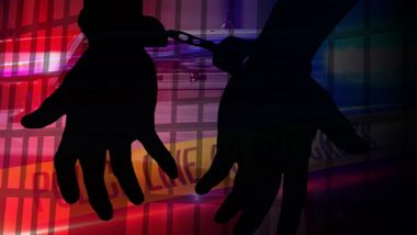 Bengaluru Metro Sexual Harassment Case: 30-Year-Old Man Arrested for Sexually Harassing Software Professional in Namma Metro