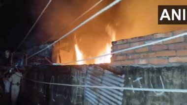 Assam Fire: Massive Blaze Engulfs Seven Houses in Dibrugarh, No Casualty Reported (Watch Video)