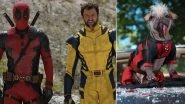 Deadpool 3: Ryan Reynolds Confirms Summer 2024 Release for Upcoming Film With New Glimpse of 'Dogpool' (View Pic)