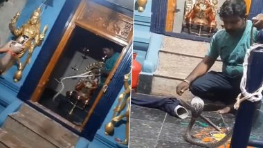 Cobra Rescued From Tamil Nadu Temple: Venomous Snake Enters Madurai's Ayyappan Temple, Released in Jungle (Watch Video)