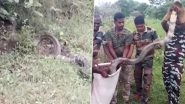 Tamil Nadu: 15-Feet-Long King Cobra Rescued From Private Factory in Tenkasi&rsquo;s Kadayam, Video Surfaces