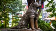 Japan&rsquo;s Ever-Faithful Dog Turns 100, Know Hachiko&rsquo;s Story Here