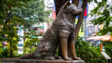 Japan’s Ever-Faithful Dog Turns 100, Know Hachiko’s Story Here
