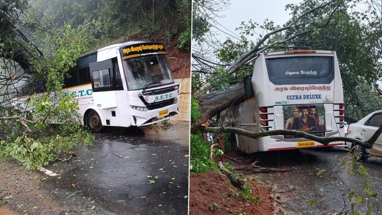 Tamil Nadu Rains: Tree Falls on Bus Due to Landslide in Burliyar After Heavy Rainfall in Region, None Hurt (See Pics)