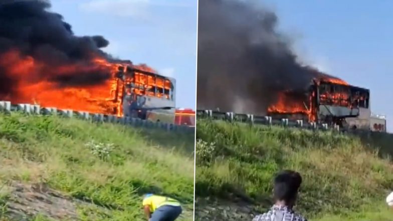 Bus Fire in Tamil Nadu: Lucky Escape for Driver and Conductor After Private Bus Travelling From Bengaluru to Kerala Catches Fire in Dharmapuri (Watch Video)