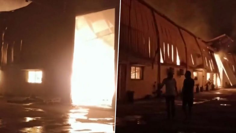 Gujarat Fire Video: Massive Blaze Erupts at Paper Factory in Valsad's Umargam, Footage Shows Raging Flames