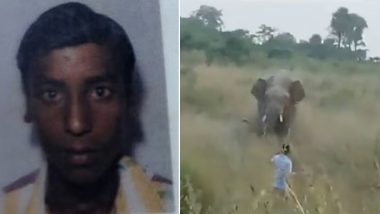 Odisha: Man Provokes Wild Elephant by Pulling Its Tail in Angul, Arrested After Video Goes Viral