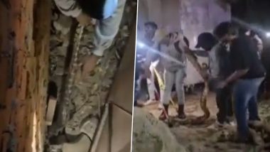 Python in Lucknow: 12-Feet-Long Snake Spotted in Busy Aliganj Market, Rescued (Watch Video)