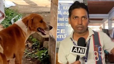 Kerala Dog Waiting for Owner: Pet Dog Waits in Front of Kannur’s Mortuary, Waiting Endlessly for Its Deceased Master To Return (Watch Video)