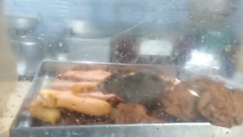 Chennai Government Hospital’s Canteen Shut After Video of Rat Feasting on Food Goes Viral