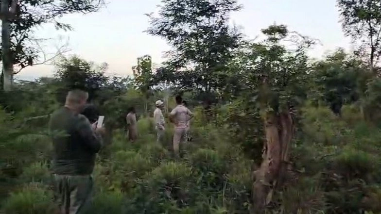 Assam: Four, Including Two Minors Trampled to Death by Wild Elephants in Bormanthir 