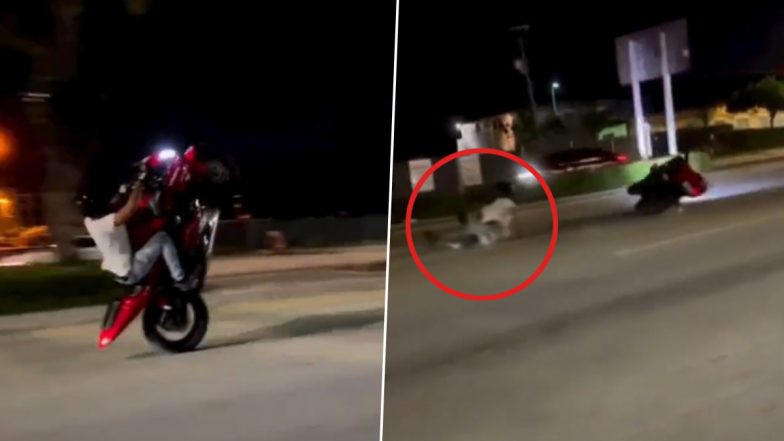 Delhi Police’s Innovative ‘Moye Moye’ Video Sparks Social Media Frenzy on Road Safety (Watch Video)