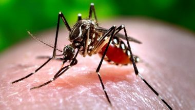 Zika Virus in Karnataka: State Health Department on High Alert Mode After Deadly Virus Found in Chikkaballapur District