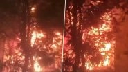 Mumbai Fire: Massive Blaze Erupts in 11-Storey Residential Building in Vile Parle, Video Shows Flames Emanating From Flat