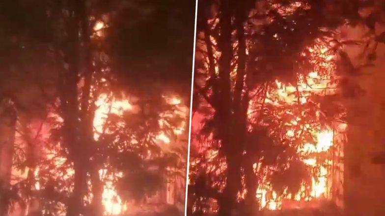 Mumbai Fire: Massive Blaze Erupts in 11-Storey Residential Building in Vile Parle, Video Shows Flames Emanating From Flat