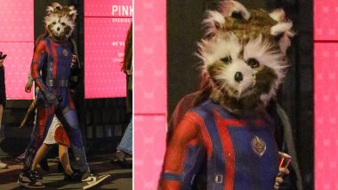 Bradley Cooper Spotted Walking the Streets Dressed As Rocket Raccoon for Halloween! (View Pic)