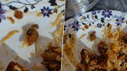 Hyderabad Man Discovers Dead Cockroach in Biryani Ordered Via Food Delivery App Zomato, Pics Surface