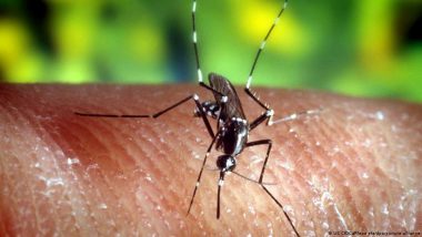 Dengue is Coming to Europe