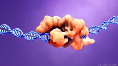 First CRISPR Drug Could Be Approved Soon