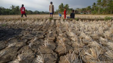 El Nino: 2023 on Track to Be Hottest Year Ever on Record