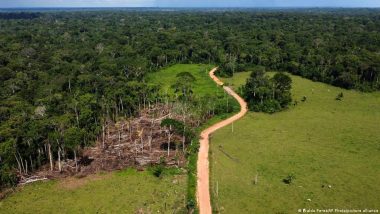 Brazil Records Five-year Low in Amazon Deforestation