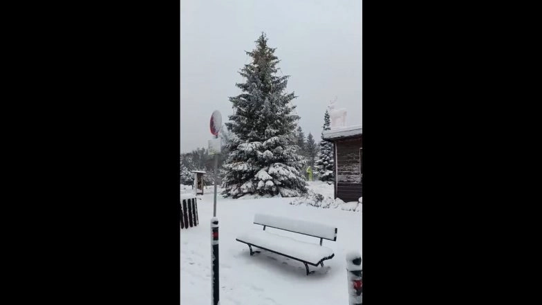Germany: Heavy Snowfall Causes Massive Traffic Disruption in Several States Across Country, Kills Two (Watch Videos)