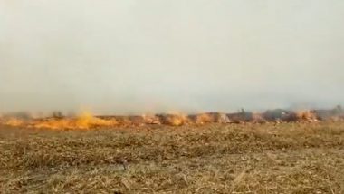 Uttat Pradesh: Farmer Dies of Suffocation While Burning Stubble in Maharajganj