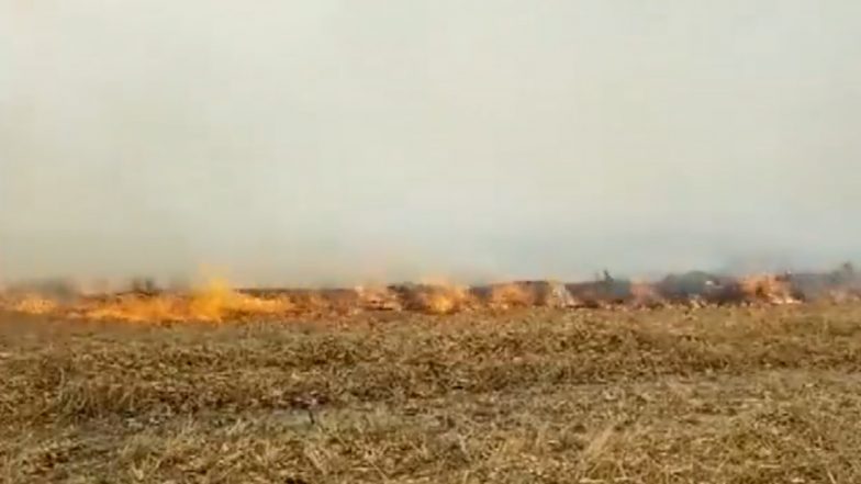 Uttat Pradesh: Farmer Dies of Suffocation While Burning Stubble in Maharajganj