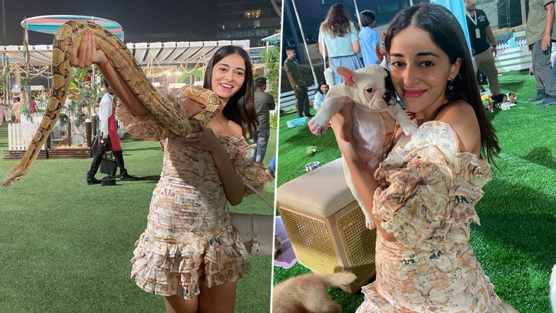 Ananya Panday Poses With Snakes and Puppies, Reveals Them As Her ‘Favourites’ (See Photos)