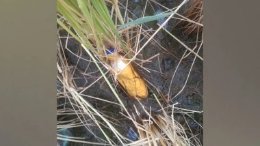 India News | Punjab: BSF Troops Recover Narcotics in Amritsar