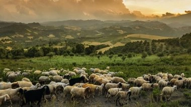 Science News | Exotic Tick That Can Kill Cattle is Spreading in Ohio: Study