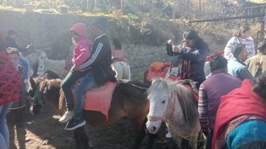 India News | Forest Dept Order Restricting Number of Horses in Kufri Worries Horsemen