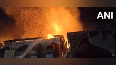 India News | Gujarat: Fire Breaks out at Godown in Gondal